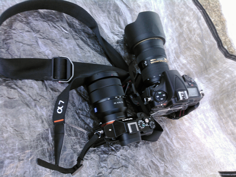 Illustration for article titled Sony A7S Adventure Tested: Ultimate Low-Light Mirrorless?